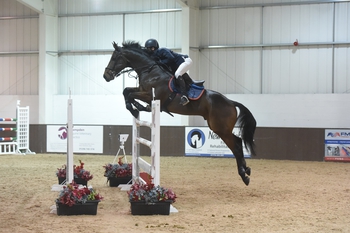 Mark Edwards takes the win in the Winter Grand Prix at Addington Equestrian 
